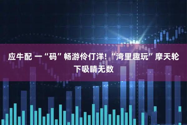 应牛配 一“码”畅游伶仃洋! “湾里趣玩”摩天轮下吸睛无数