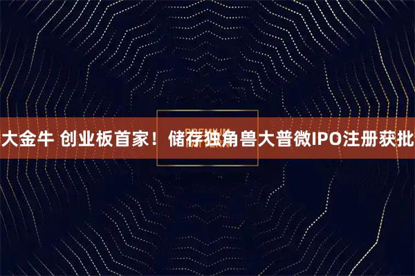 大金牛 创业板首家！储存独角兽大普微IPO注册获批